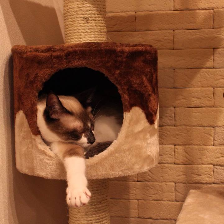 2acb9411 5f84 4acc 9a04 74777cdd0396