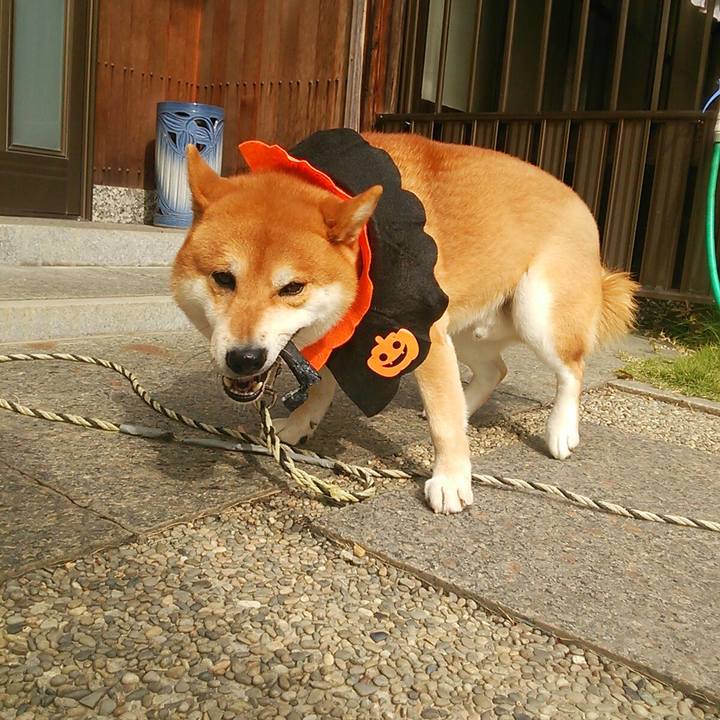 2acbe94f 18ac 4017 a8aa 6b2c8d9981b3