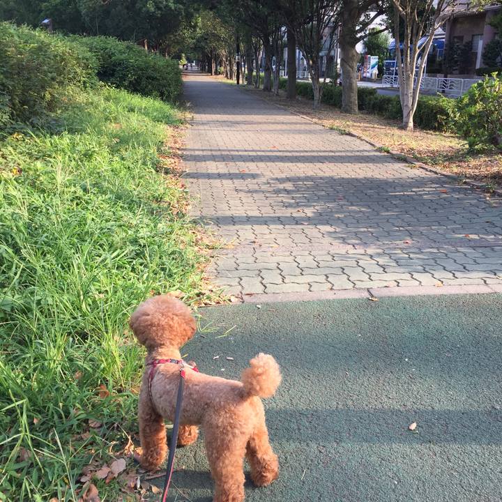 2acc191e 84ea 4139 80cd 9268fb1d1814