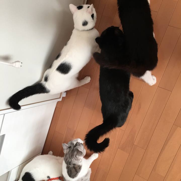 2acc2729 5d93 4d04 a80f 8c296df9dc1c