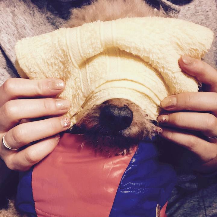 2accc84a 1f89 407f 9c6d 2da7cff63c3e