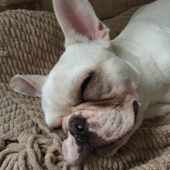 2accee46 5def 465a 814f cd873bee967e