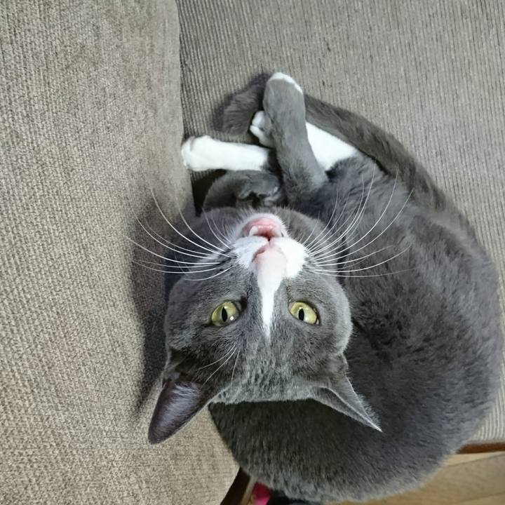 2acd5bde 0f48 42a6 adf9 c6deafd3241e