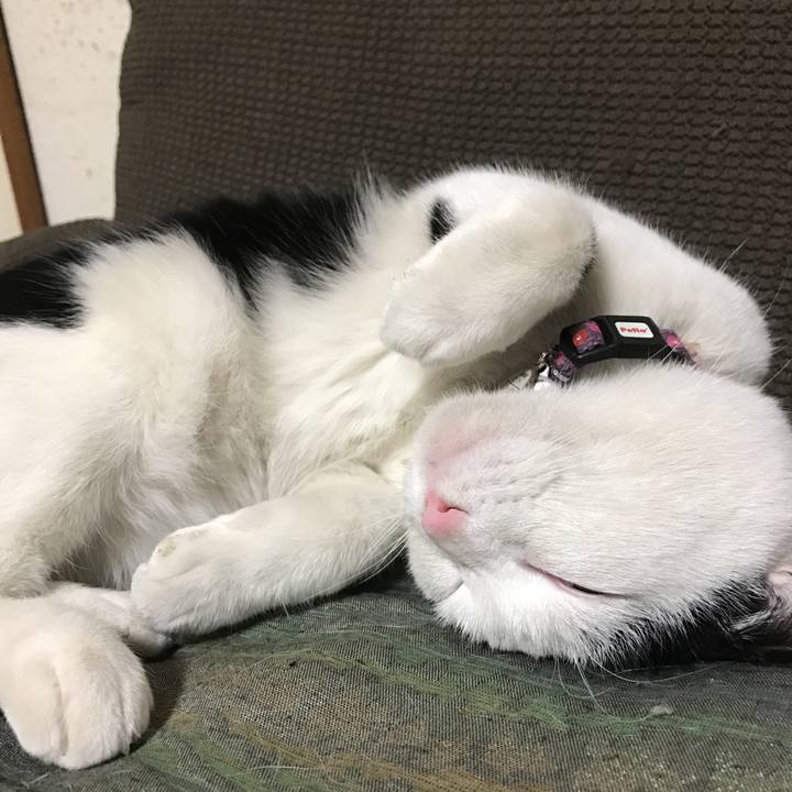 2acd8c21 4ce4 4cb4 8fb8 32860ae1e827