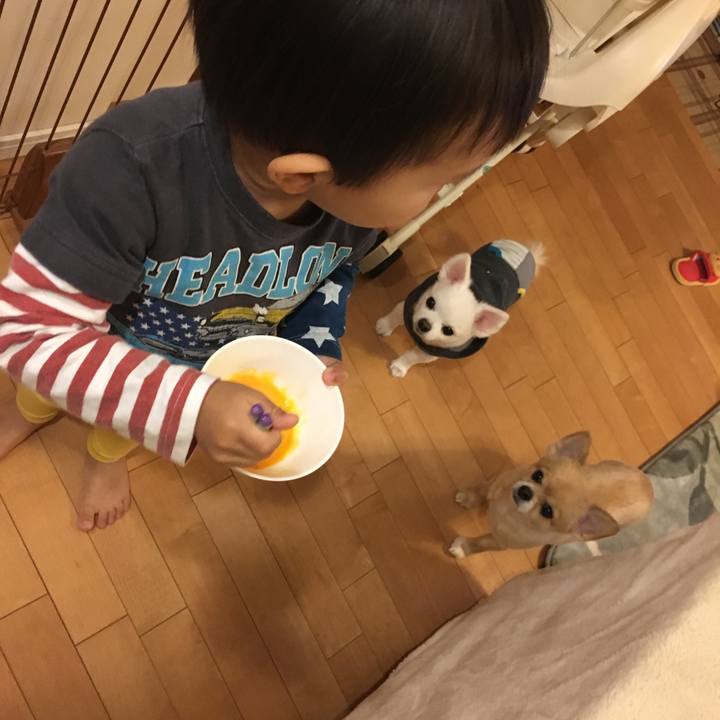 2acdf8be 6bd2 4200 9c93 c23fb28b4648