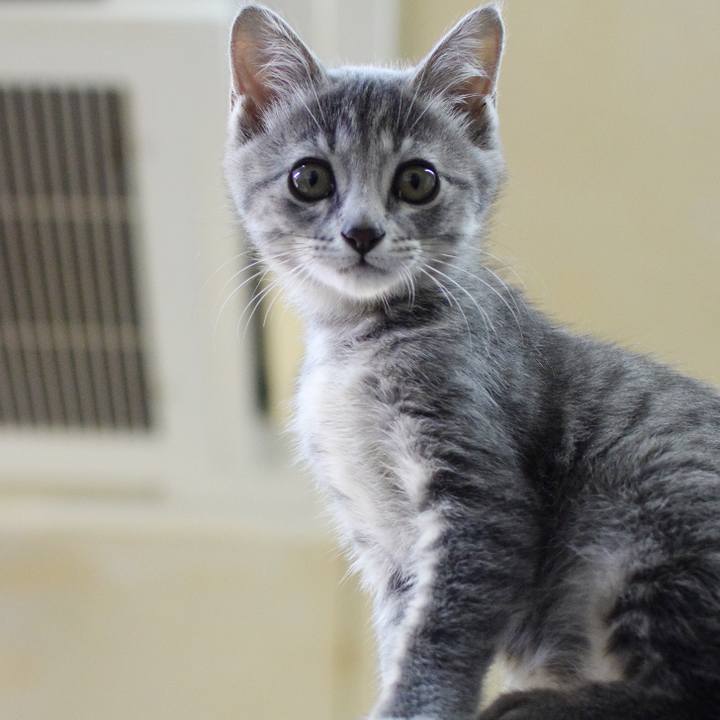 2ace761e bbc7 4c9e af86 85479e03e0ad