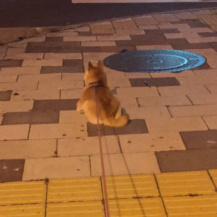 2aceaf8b 1c7f 495b a93d a63b30366b52