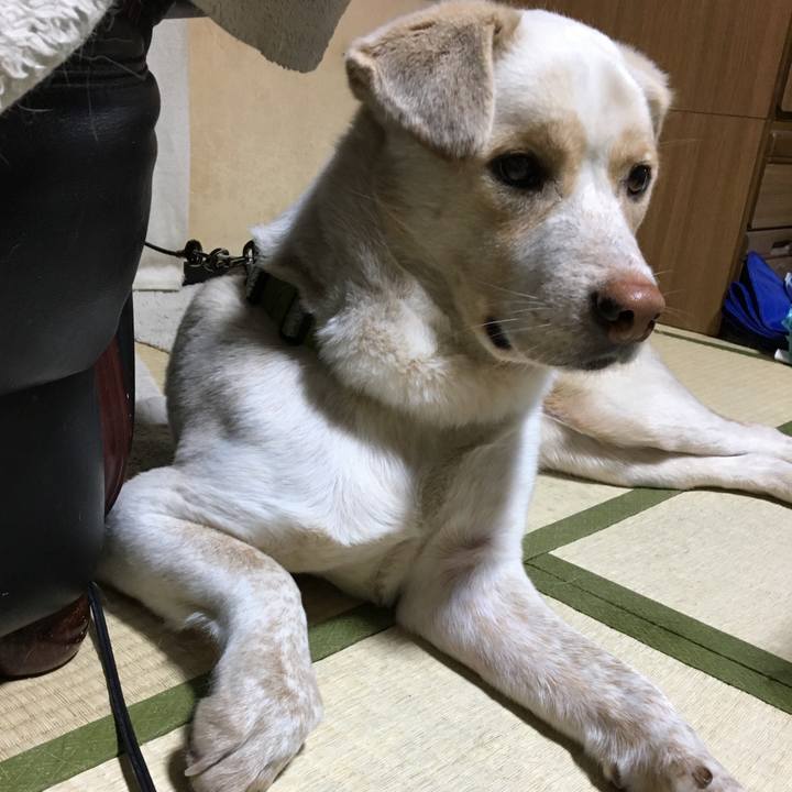 2acee7e0 499d 4b93 ac32 8499c91f683f