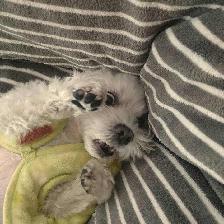 2acf77ab f75b 425d bfa5 f0b5cfa27b75