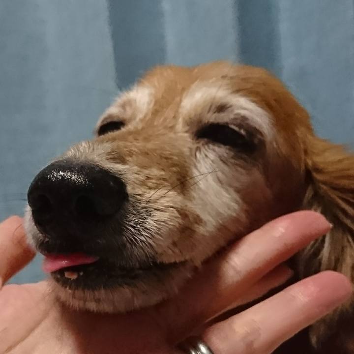 2ad08af9 fb9d 44c5 979d 67e6c54f9876