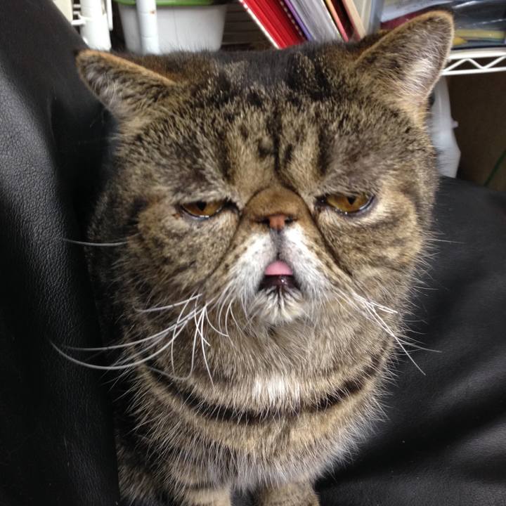 2ad09b66 aef7 4b4c 8596 f8502393470a