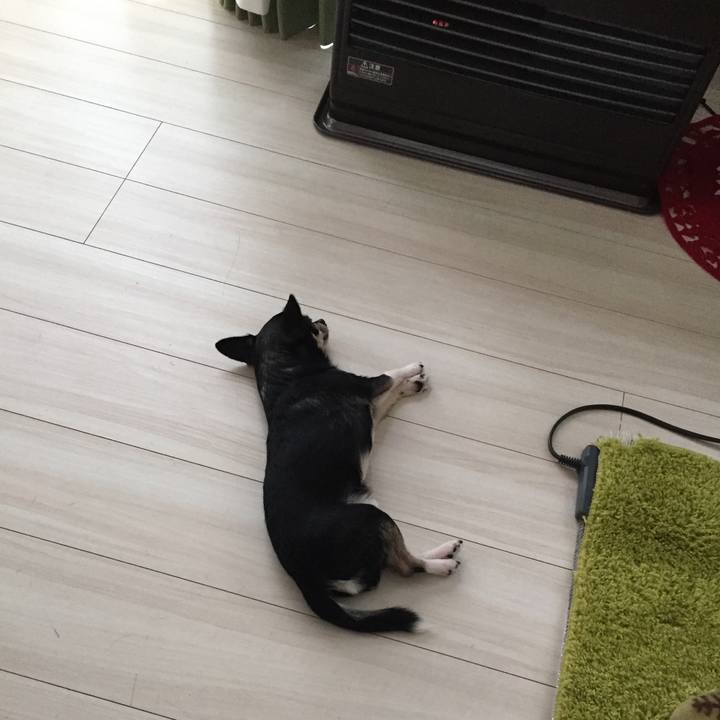 2ad0ccbf a272 484b 8826 663393372bc2