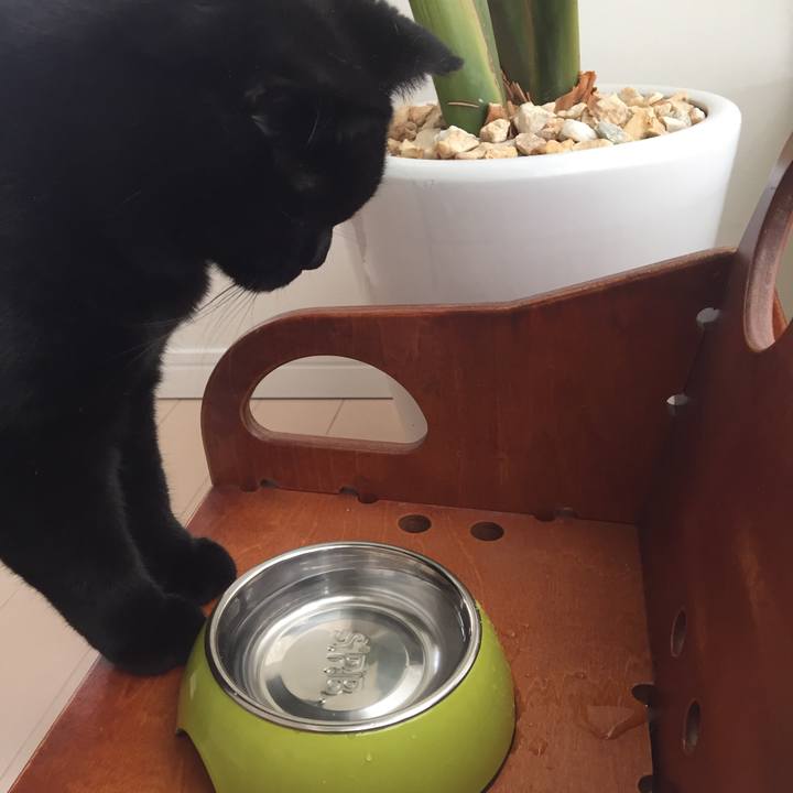 2ad16bee edf2 46fc 93aa 342ba6604fac