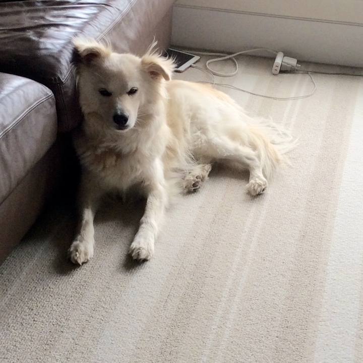 2ad25fec 255d 4f38 8abe 973350b575d1