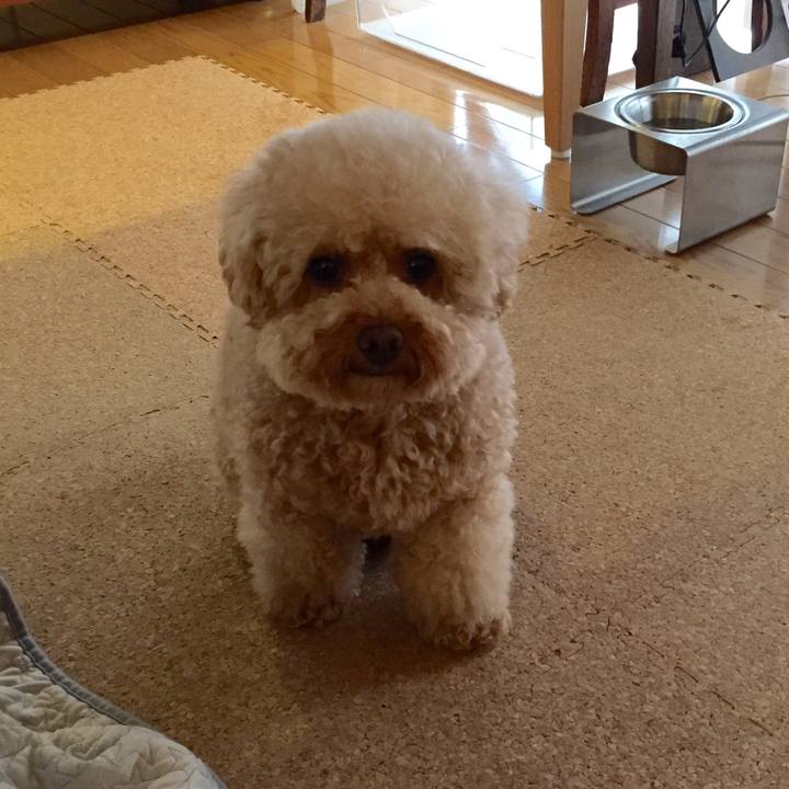 2ad2b9a9 9642 4322 b0b9 f11e705f0ca3