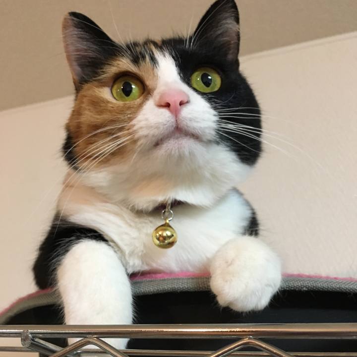 2ad38920 b541 488f 827c fcb2b00c26e6