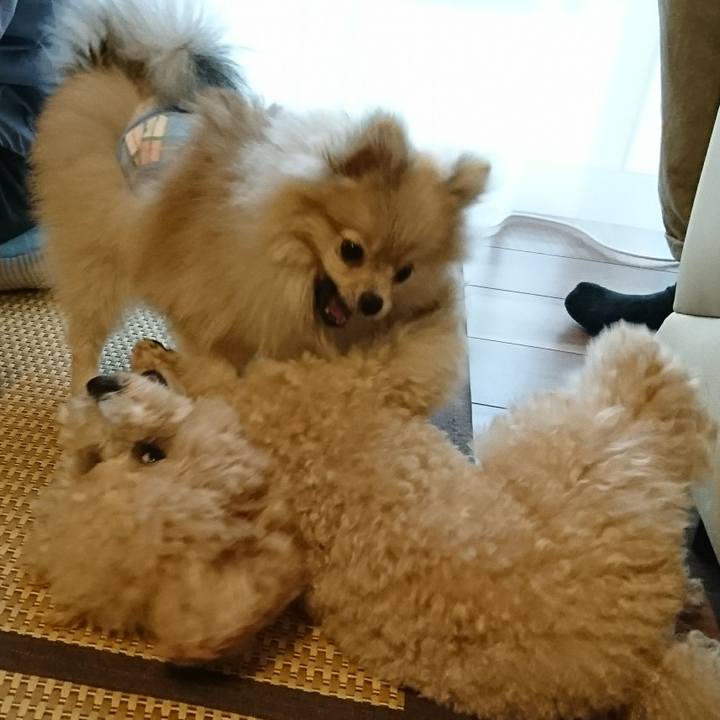 2ad3e880 c94e 428d 9dfa 2f064f0b2d79