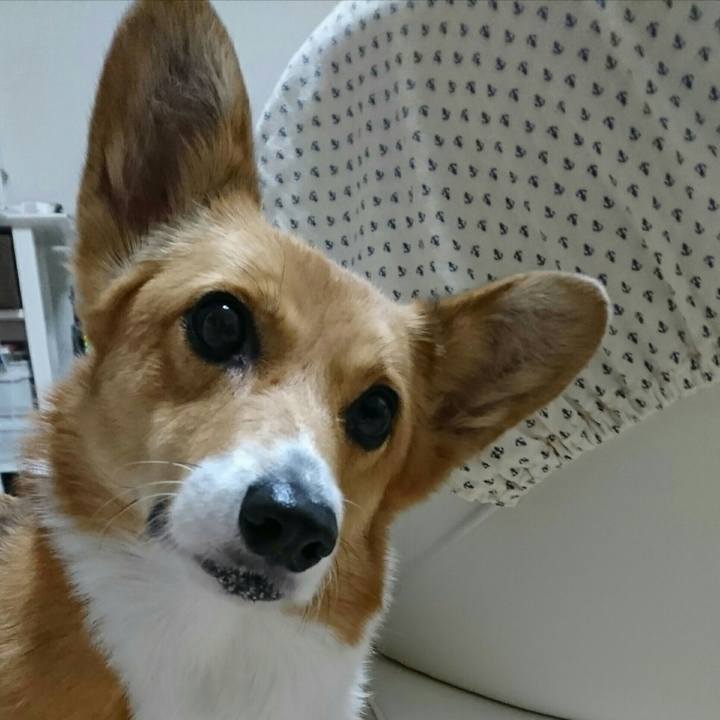 2ad405f7 6bb0 4cfd 8ce3 4f56fb4dde87