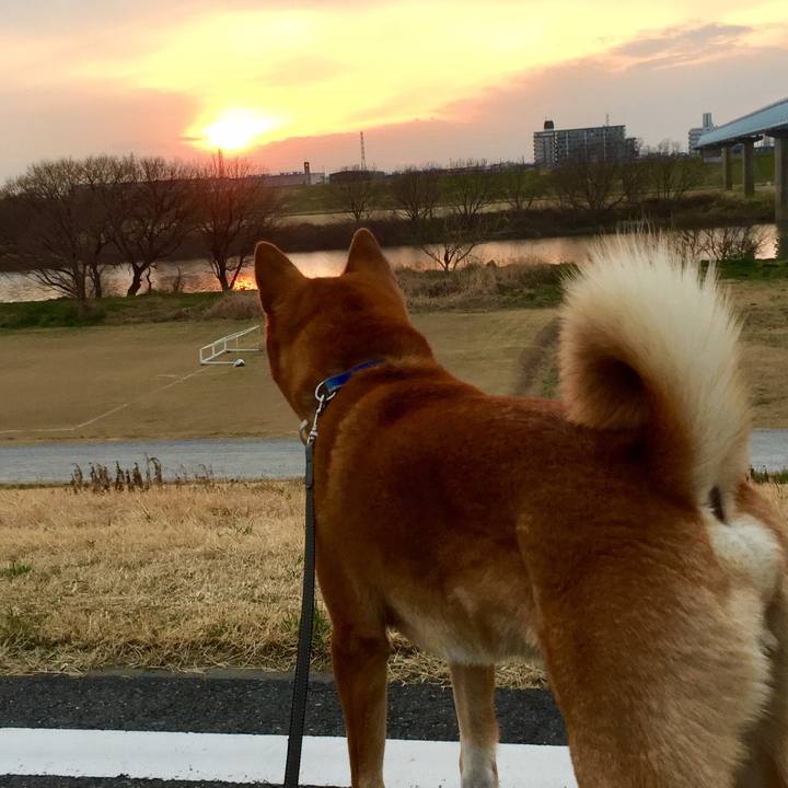 2ad4cfd5 ab72 44a3 9de0 9c9182852d98