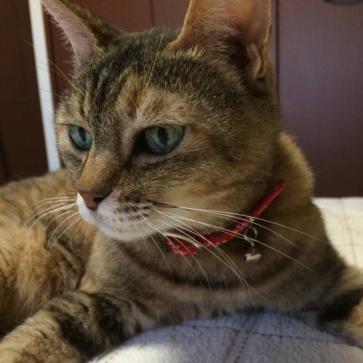 2ad54eb5 b2fb 4a44 896d 7fe28f649ab2