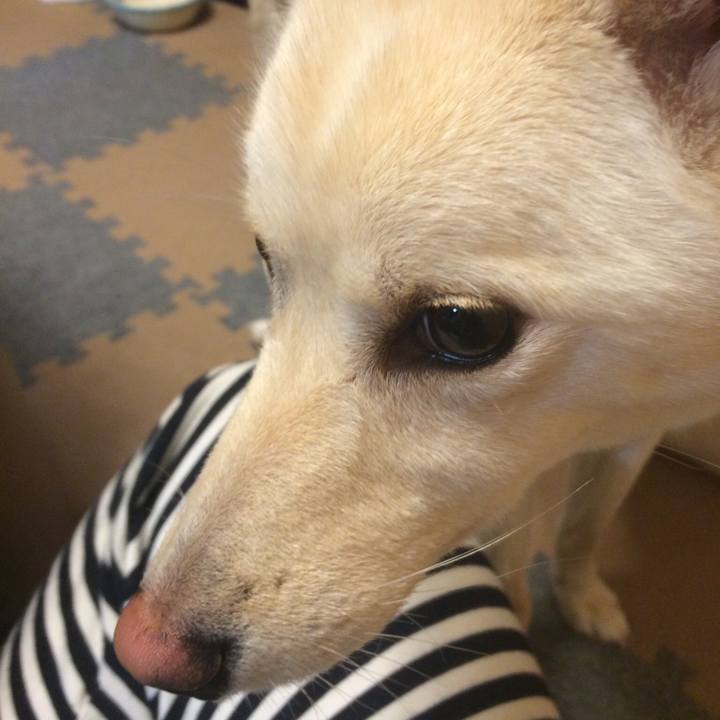 2ad5faf3 8408 4f8f a62e e43b86b61531