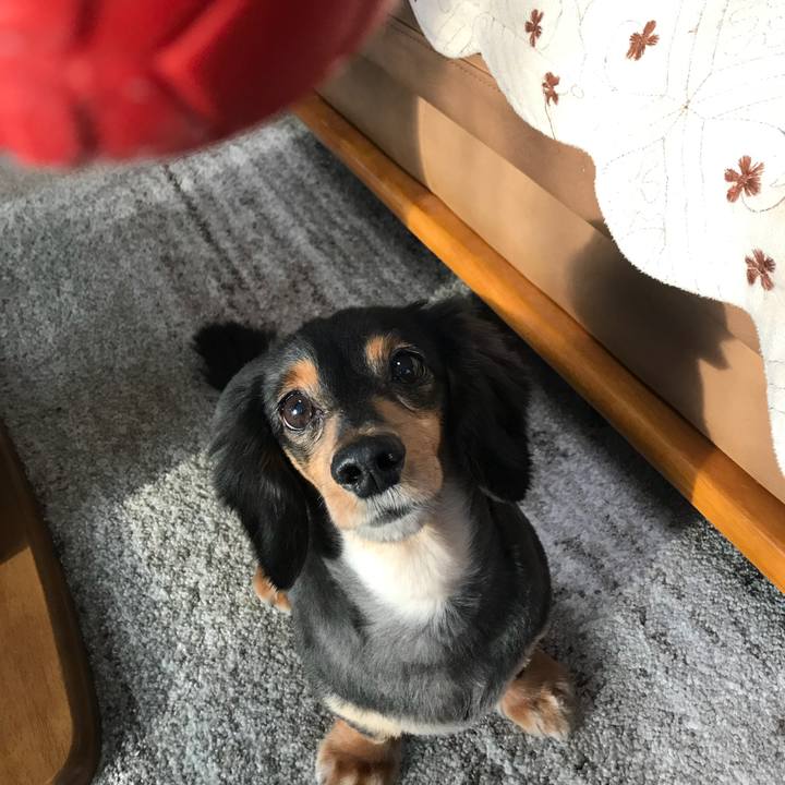 2ad64005 0511 4045 92e0 5741d69b6182