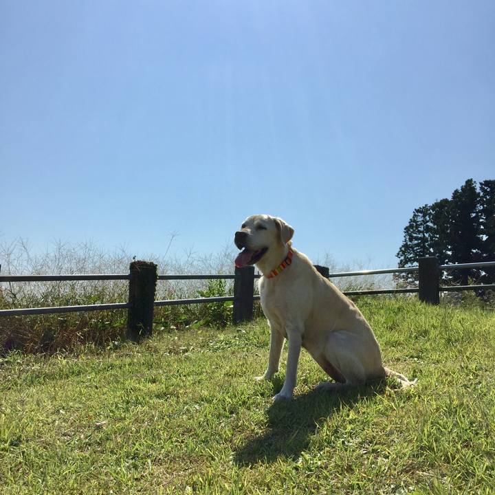 2ad6d5c8 5bbb 4ac9 97d0 8a5cd3c70255