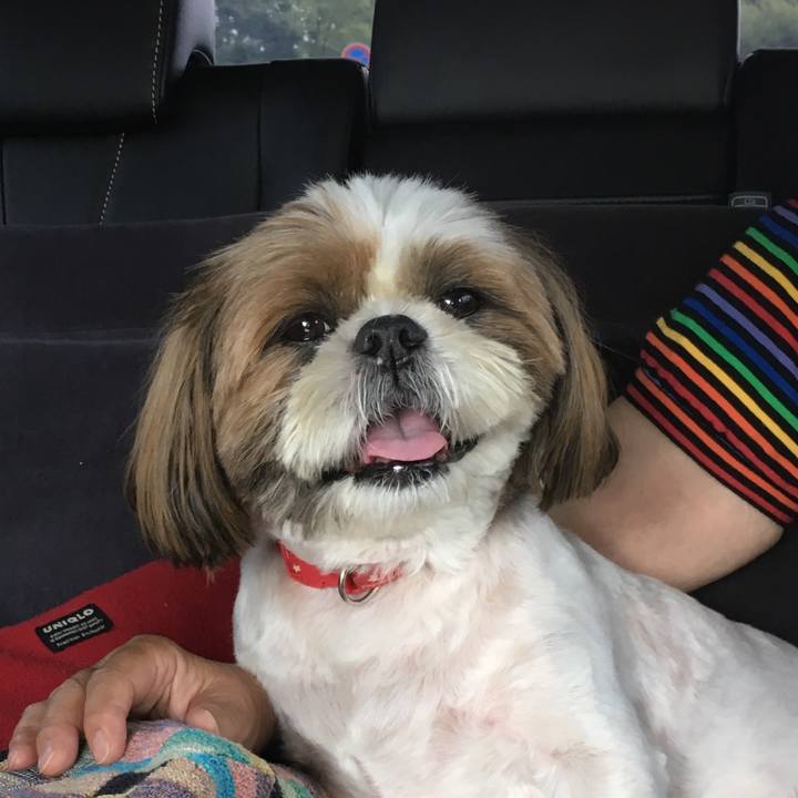 2ad71e57 ec39 4677 8659 49892c6e405c