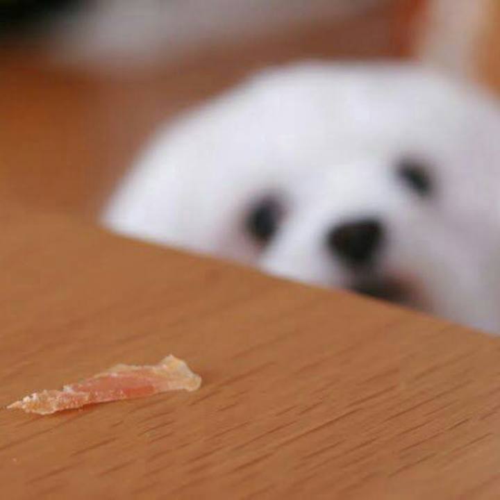 2ad7c525 b23a 4d46 bfb9 d24a479837f3