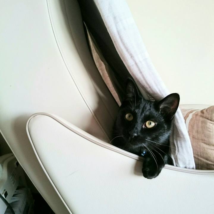 2ad7e014 f78e 44be 8ca5 8c9f60697f2f