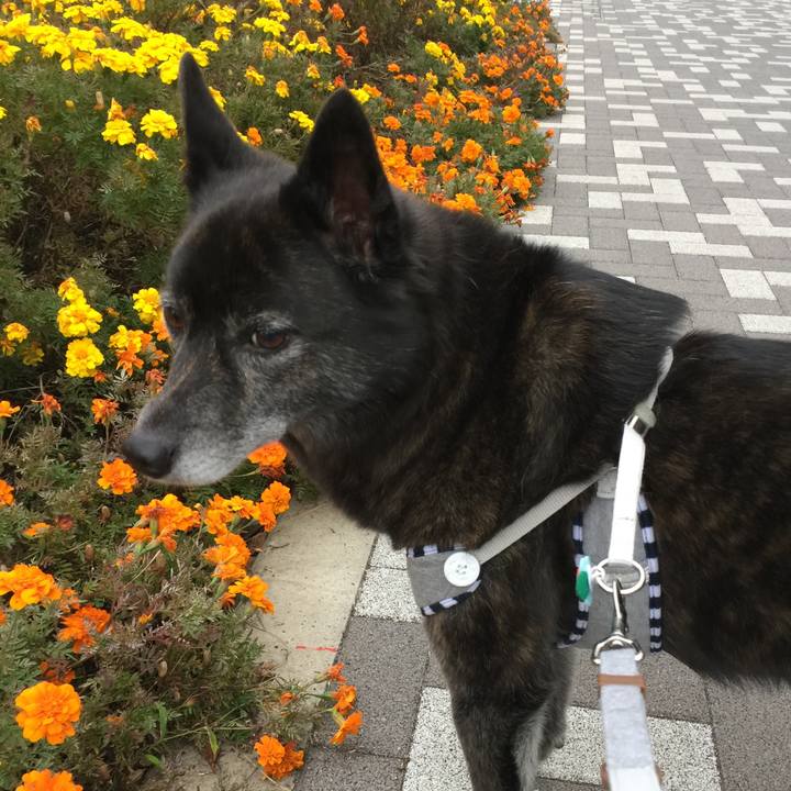 2ad8d589 afa8 477a 8dd2 b3b87850da30