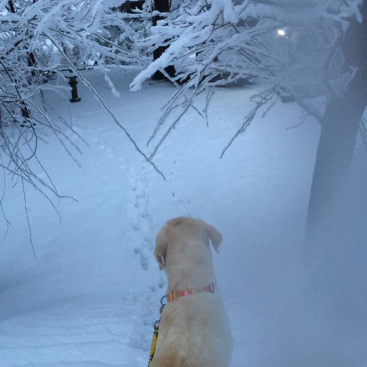 2ad916da cc87 4cec b739 c710ca7043e6