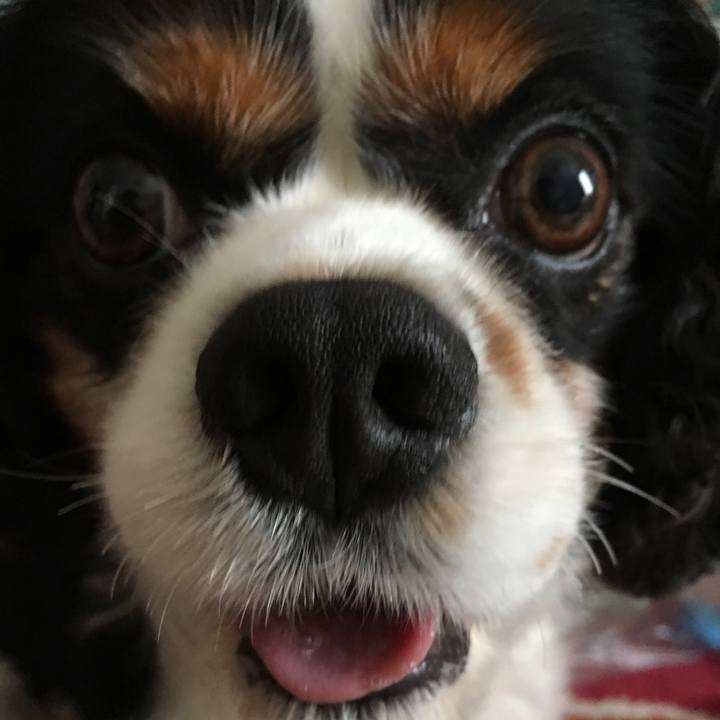 2ad94753 9cdc 4ba9 ad88 e41e35a67602