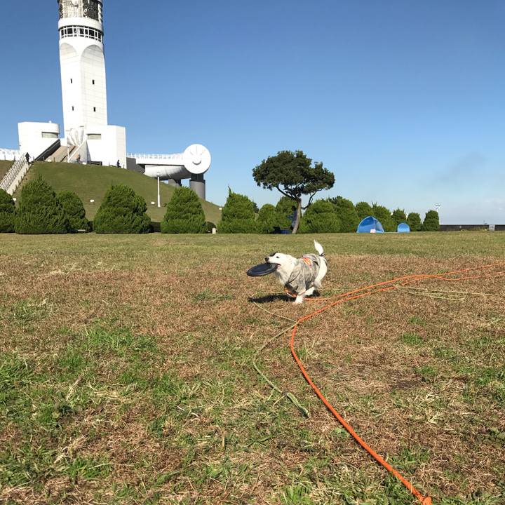 2ada01ff 15c1 4849 a161 52400e29af8c