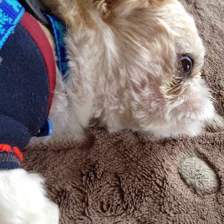 2ada1764 dc1c 4c63 ae39 9c8598ae6faa