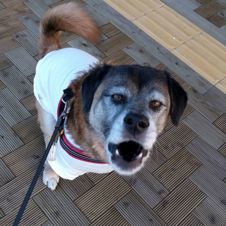 2ada79eb 4e47 4bdc 8ef1 54c6d314efc0