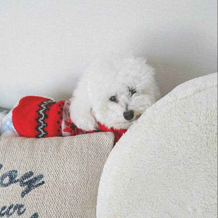 2adad09a c262 4846 8d2c 5e4759f9f177