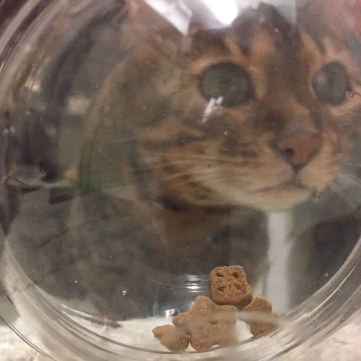 2adad150 7fda 4b26 b030 7fb0372118ab