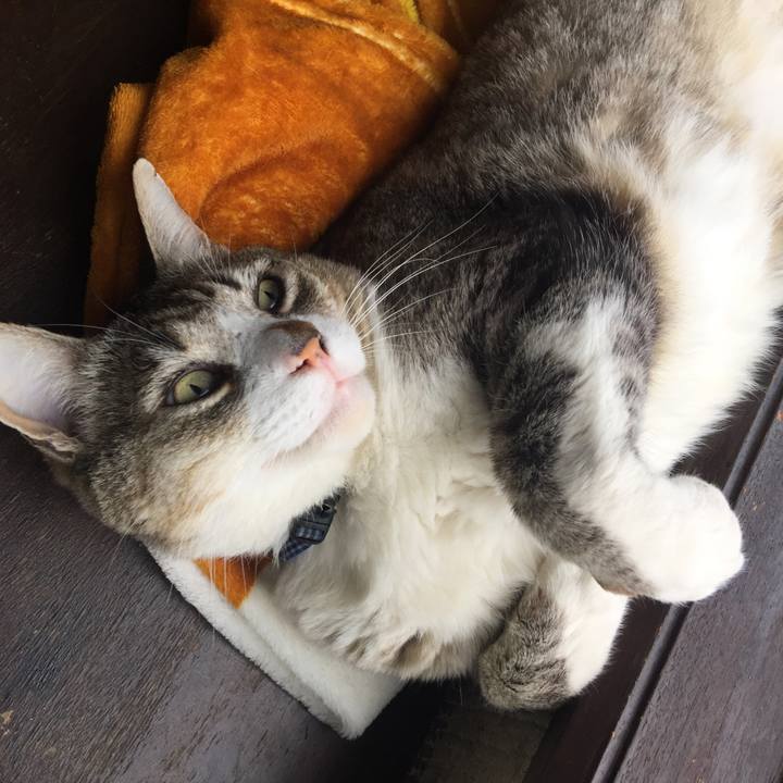 2adc8c8f 01ac 484b 8b90 492ee7bbaa6b