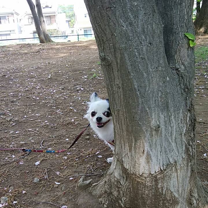 2adca28d c925 4af7 8ad2 f90aebc27d95