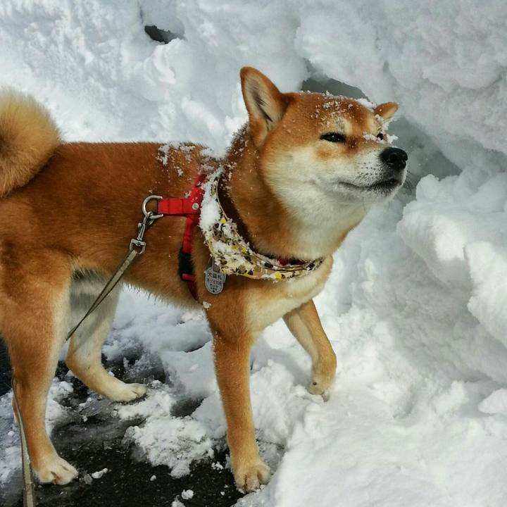 2adcd8df 7b3c 40d0 bed8 c5b8fba090d6