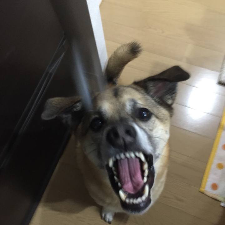 2addd786 195c 4681 be00 3bd547554519