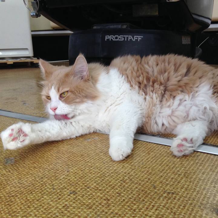 2ade0dca 493f 4d01 bc67 c1239572cf9b