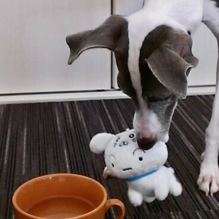 2ade233f a37e 4d2f ab67 edac96a33e72