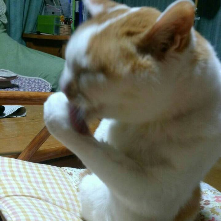 2ade24f9 fc04 4821 b100 b7c53c7efc47