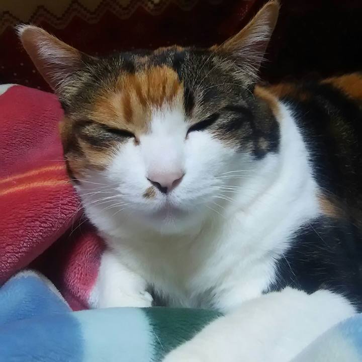 2ade4f15 8efa 4e24 9116 659ac8c7d13c