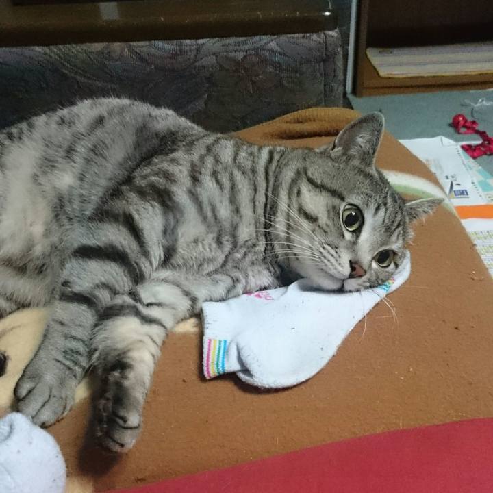 2ade9eb7 e1d8 49b0 824b 4d88a35221ad