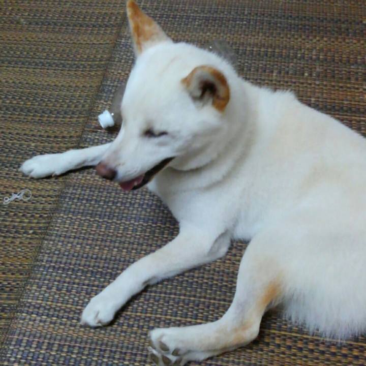 2adeee33 325e 42f9 bcba e15535e6c2ee