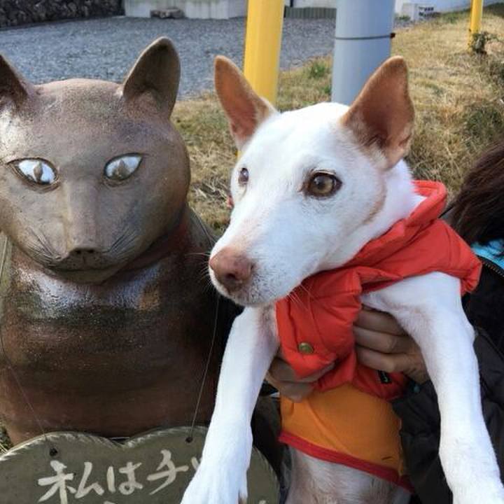 2adf0a09 a727 42a8 8aef 57ced3f4ff55