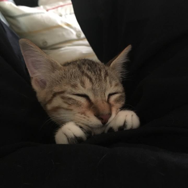 2adf2bfc 62c5 4807 8444 206e969eef81